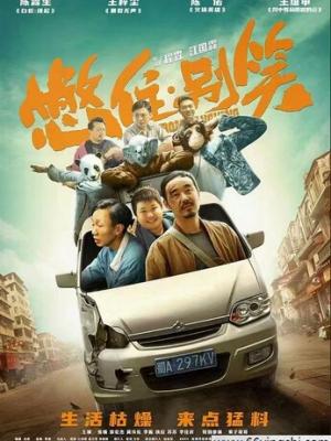 首席秘书的养成